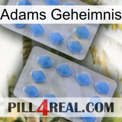 Adams Secret 20